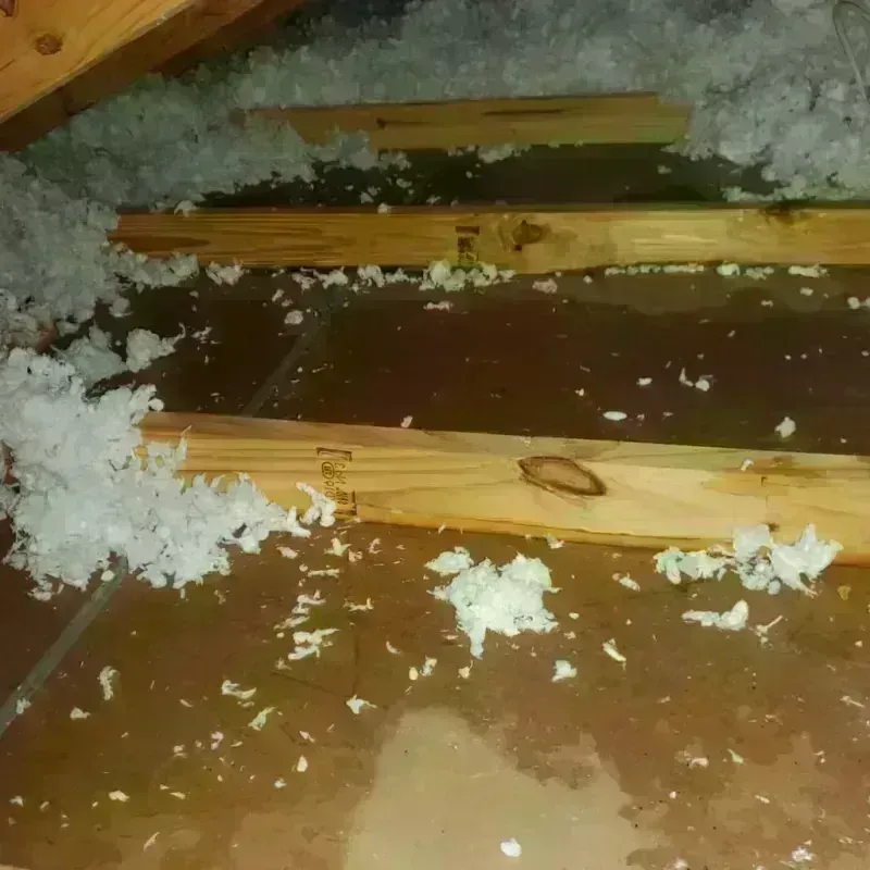 Attic Water Damage in East Pasadena, CA